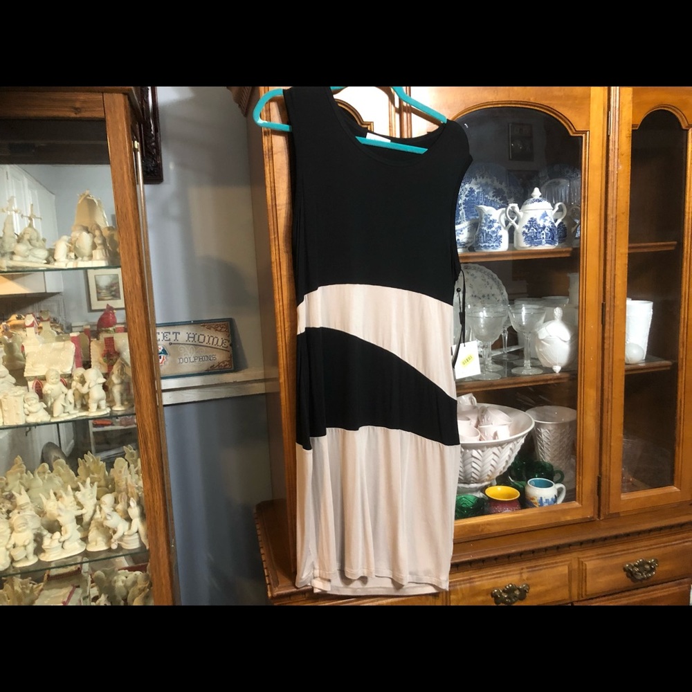 NWT Calvin Klein size 12 dress